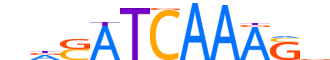 TCF7.H14INVITRO.0.PSM.A motif logo (TCF7 gene, TCF7_HUMAN protein)