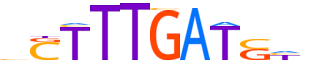 TCF7.H14INVITRO.0.PSM.A reverse-complement motif logo (TCF7 gene, TCF7_HUMAN protein)