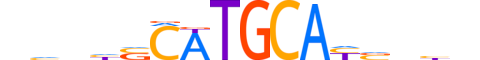 TDIF1.H14INVITRO.0.PSG.A motif logo (DNTTIP1 gene, TDIF1_HUMAN protein)