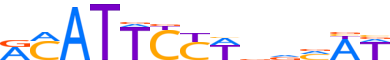 TEAD1.H14INVITRO.1.P.C motif logo (TEAD1 gene, TEAD1_HUMAN protein)