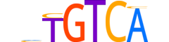 TF2LX.H14INVITRO.0.SM.B reverse-complement motif logo (TGIF2LX gene, TF2LX_HUMAN protein)