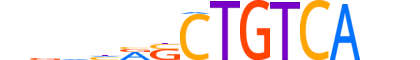 TF2LY.H14INVITRO.0.SM.B reverse-complement motif logo (TGIF2LY gene, TF2LY_HUMAN protein)