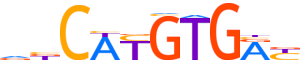 TFEB.H14INVITRO.1.P.C reverse-complement motif logo (TFEB gene, TFEB_HUMAN protein)