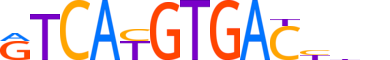 TFEC.H14INVITRO.0.M.B reverse-complement motif logo (TFEC gene, TFEC_HUMAN protein)