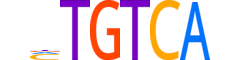 TGIF2.H14INVITRO.1.PSM.A reverse-complement motif logo (TGIF2 gene, TGIF2_HUMAN protein)