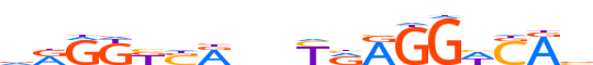 THA.H14INVITRO.0.P.B motif logo (THRA gene, THA_HUMAN protein)