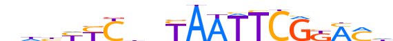 TIGD7.H14INVITRO.0.SGIB.A motif logo (TIGD7 gene, TIGD7_HUMAN protein)
