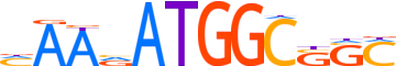 TYY1.H14INVITRO.0.PSM.A motif logo (YY1 gene, TYY1_HUMAN protein)