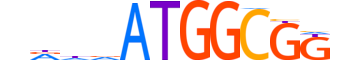 TYY2.H14INVITRO.0.PS.A motif logo (YY2 gene, TYY2_HUMAN protein)