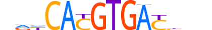USF2.H14INVITRO.0.PSM.A reverse-complement motif logo (USF2 gene, USF2_HUMAN protein)