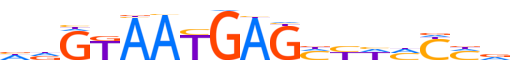 Z286B.H14INVITRO.0.PSG.A motif logo (ZNF286B gene, Z286B_HUMAN protein)