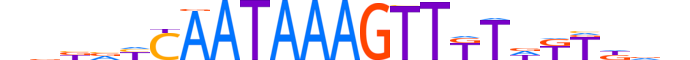 ZBT40.H14INVITRO.0.PSG.A reverse-complement motif logo (ZBTB40 gene, ZBT40_HUMAN protein)