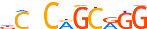ZIC1.H14INVITRO.0.P.B motif logo (ZIC1 gene, ZIC1_HUMAN protein)