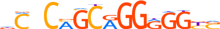 ZIC5.H14INVITRO.0.P.B motif logo (ZIC5 gene, ZIC5_HUMAN protein)