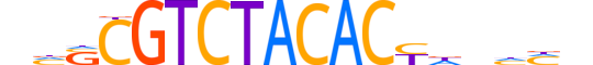 ZN500.H14INVITRO.0.PSGI.A motif logo (ZNF500 gene, ZN500_HUMAN protein)