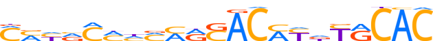 ZN623.H14INVITRO.0.PG.A motif logo (ZNF623 gene, ZN623_HUMAN protein)