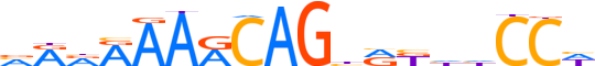 ZN721.H14INVITRO.0.PSG.A motif logo (ZNF721 gene, ZN721_HUMAN protein)