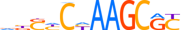 ZN853.H14INVITRO.0.SG.A reverse-complement motif logo (ZNF853 gene, ZN853_HUMAN protein)