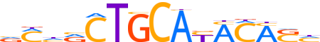 ZNF66.H14INVITRO.0.PG.A motif logo (ZNF66 gene, ZNF66_HUMAN protein)