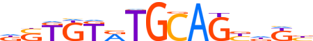ZNF66.H14INVITRO.0.PG.A reverse-complement motif logo (ZNF66 gene, ZNF66_HUMAN protein)