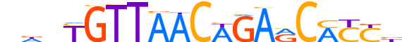 ZSC16.H14INVITRO.0.PSM.A motif logo (ZSCAN16 gene, ZSC16_HUMAN protein)