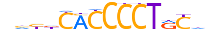 ZSC25.H14INVITRO.0.PSG.A motif logo (ZSCAN25 gene, ZSC25_HUMAN protein)