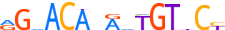 ANDR.H14INVITRO.0.P.B motif logo (AR gene, ANDR_HUMAN protein)