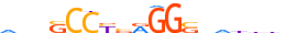 AP2B.H14INVITRO.0.SM.B motif logo (TFAP2B gene, AP2B_HUMAN protein)