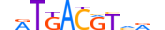 ATF2.H14INVITRO.0.PSM.A motif logo (ATF2 gene, ATF2_HUMAN protein)