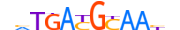 ATF4.H14INVITRO.1.S.B motif logo (ATF4 gene, ATF4_HUMAN protein)