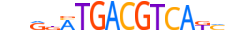 ATF4.H14INVITRO.2.SM.B motif logo (ATF4 gene, ATF4_HUMAN protein)