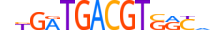 ATF6B.H14INVITRO.0.SM.B motif logo (ATF6B gene, ATF6B_HUMAN protein)