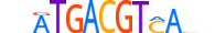 ATF7.H14INVITRO.0.PSM.A motif logo (ATF7 gene, ATF7_HUMAN protein)