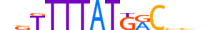 CDX4.H14INVITRO.0.S.C motif logo (CDX4 gene, CDX4_HUMAN protein)