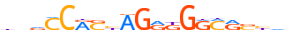 CTCF.H14INVITRO.0.P.B motif logo (CTCF gene, CTCF_HUMAN protein)