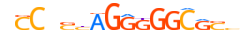 CTCFL.H14INVITRO.0.P.D motif logo (CTCFL gene, CTCFL_HUMAN protein)