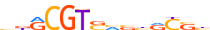 GMEB2.H14INVITRO.0.P.C motif logo (GMEB2 gene, GMEB2_HUMAN protein)