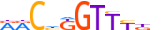 GRHL2.H14INVITRO.1.P.D motif logo (GRHL2 gene, GRHL2_HUMAN protein)