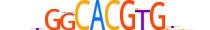 HES2.H14INVITRO.0.S.C motif logo (HES2 gene, HES2_HUMAN protein)