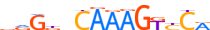HNF4A.H14INVITRO.0.PSM.A motif logo (HNF4A gene, HNF4A_HUMAN protein)