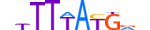 HXD11.H14INVITRO.0.PS.A motif logo (HOXD11 gene, HXD11_HUMAN protein)