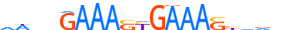 IRF1.H14INVITRO.0.P.D motif logo (IRF1 gene, IRF1_HUMAN protein)
