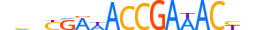 IRF6.H14INVITRO.1.S.C motif logo (IRF6 gene, IRF6_HUMAN protein)