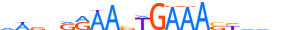 IRF8.H14INVITRO.0.P.B motif logo (IRF8 gene, IRF8_HUMAN protein)