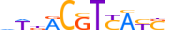 JUN.H14INVITRO.1.S.C motif logo (JUN gene, JUN_HUMAN protein)