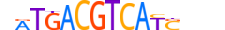 JUNB.H14INVITRO.1.S.C motif logo (JUNB gene, JUNB_HUMAN protein)