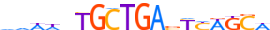 MAFG.H14INVITRO.0.PSM.A motif logo (MAFG gene, MAFG_HUMAN protein)