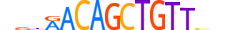 MYOG.H14INVITRO.0.PSM.A motif logo (MYOG gene, MYOG_HUMAN protein)