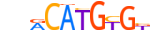 NPAS2.H14INVITRO.1.M.C motif logo (NPAS2 gene, NPAS2_HUMAN protein)