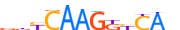 NR6A1.H14INVITRO.1.P.C motif logo (NR6A1 gene, NR6A1_HUMAN protein)